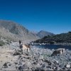 41 haut plateau vers Colca